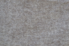 July Wool Pictures (38 of 72)