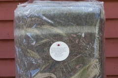 July Wool Pictures (39 of 72)