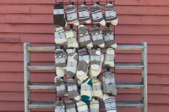 July Wool Pictures (50 of 72)