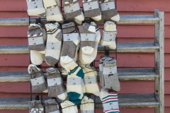 July Wool Pictures (51 of 72)