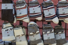 July Wool Pictures (52 of 72)