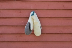 July Wool Pictures (61 of 72)