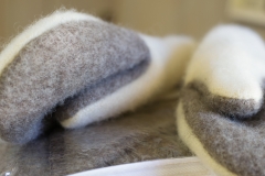 July Wool Pictures (62 of 72)