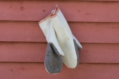 July Wool Pictures (66 of 72)