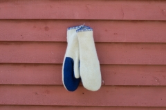 July Wool Pictures (68 of 72)