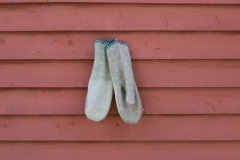 July Wool Pictures (70 of 72)